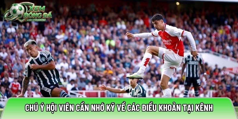 Chú ý hội viên cần nhớ kỹ về các điều khoản tại kênh