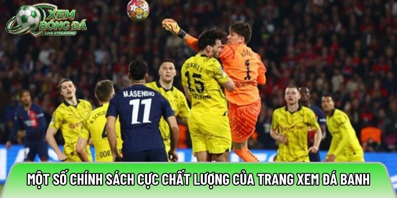 Một số chính sách cực chất lượng của trang xem đá banh