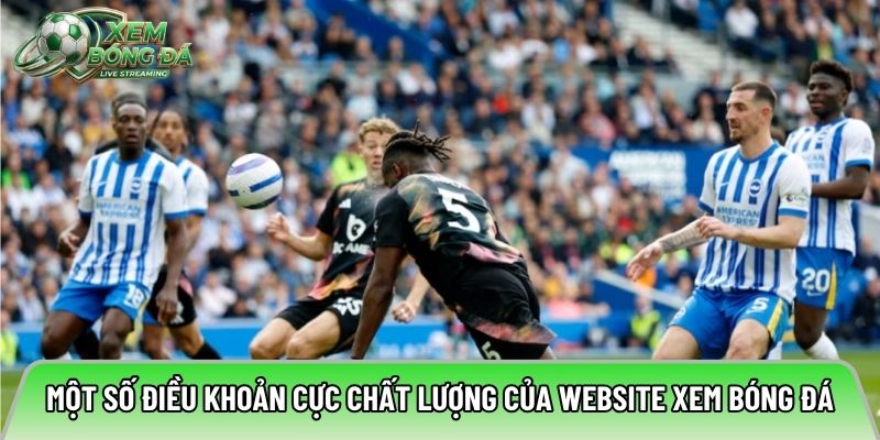 Một số điều khoản cực chất lượng của website xem bóng đá