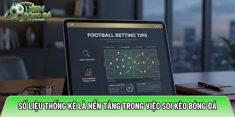Số liệu thống kê là nền tảng trong việc soi kèo bóng đá