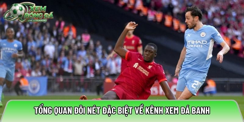 Tổng quan đôi nét đặc biệt về kênh xem đá banh