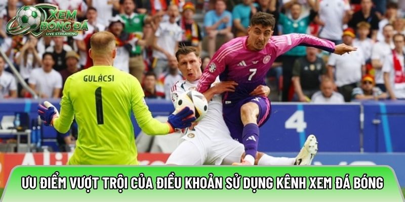 Ưu điểm vượt trội của điều khoản sử dụng kênh xem đá bóng