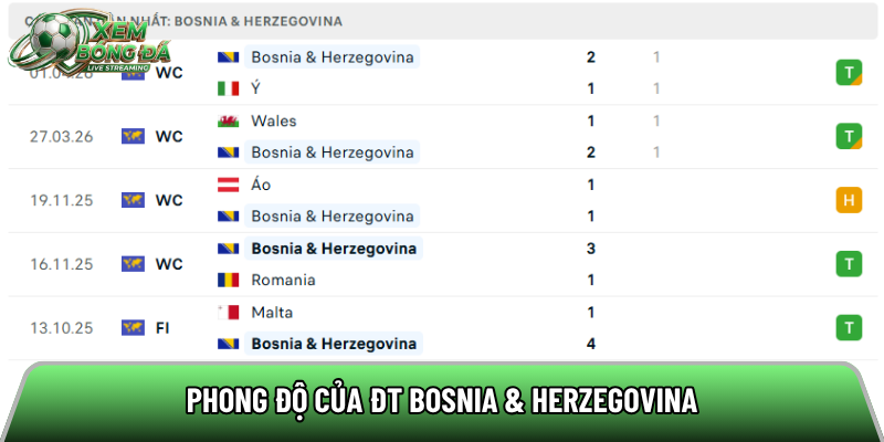 Phong độ của ĐT Bosnia-Herzegovina 
