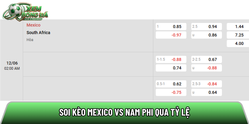 Soi kèo Mexico vs Nam Phi qua tỷ lệ