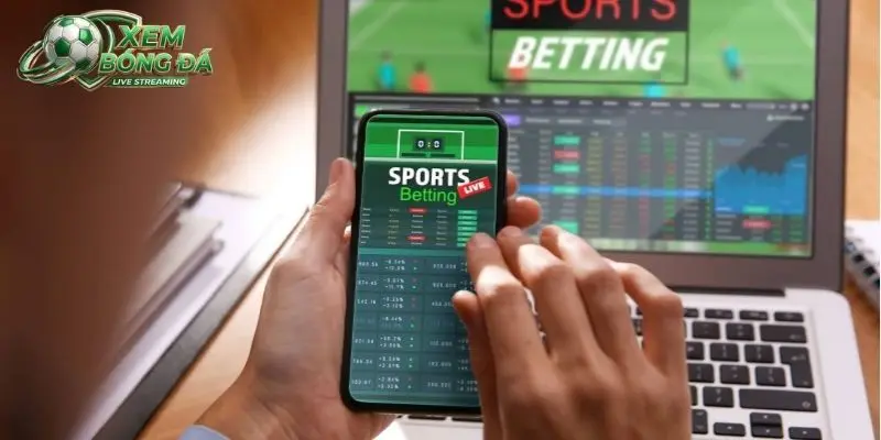 Thông tin tóm tắt về dạng kèo Total Bookings
