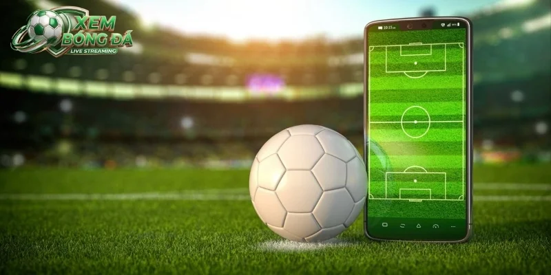 Đọc vị xu hướng biến động odds chuẩn xác