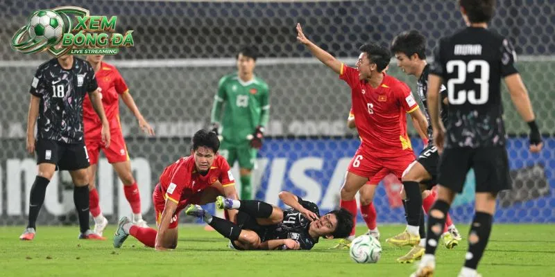 Những đội tuyển xuất sắc của mùa giải